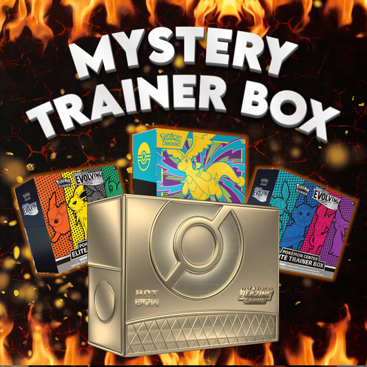 MYSTERY TRAINER BOX